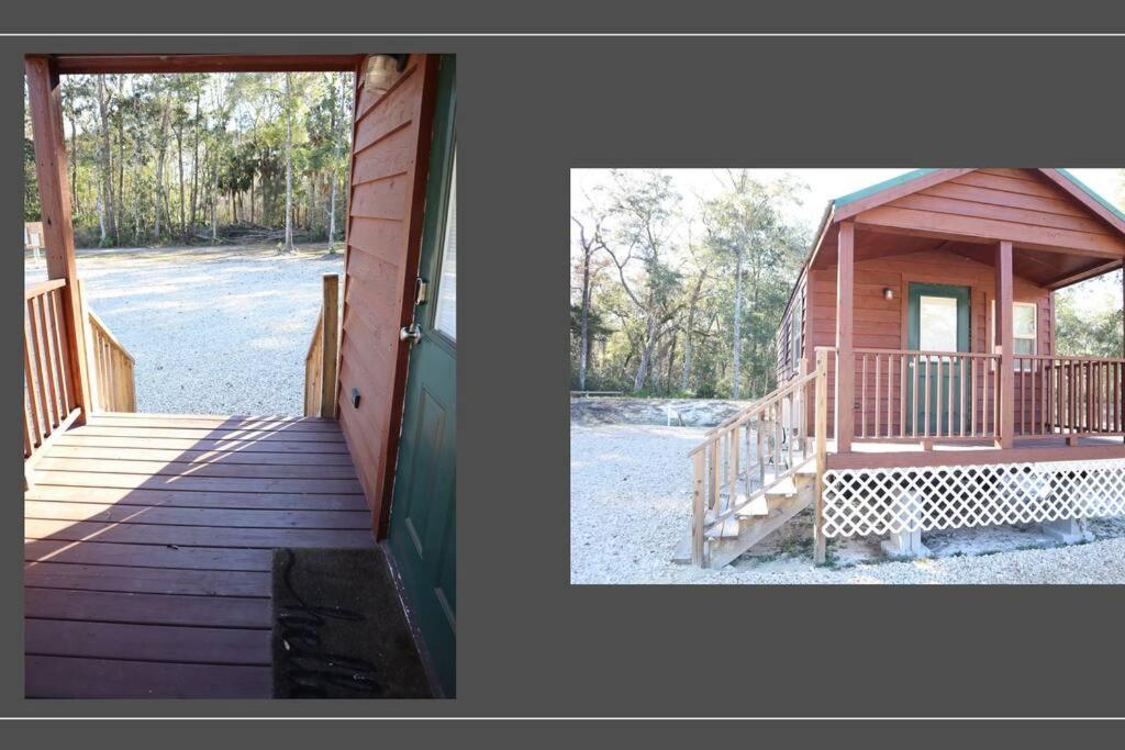 Driftwood Cabin - 2Nd Street Steinhatchee Zewnętrze zdjęcie